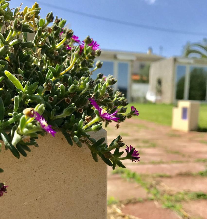 B&B Villa Degli Angeli Берналда Екстериор снимка